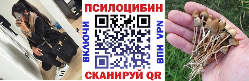 Псилоцибиновые грибы Psilocybine cubensis  цены наркотик  mega ссылка  Дивногорск 