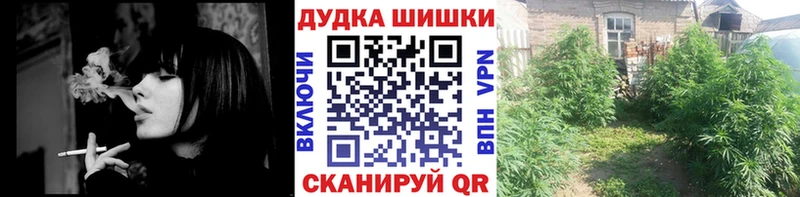 купить  цена  darknet наркотические препараты  Каннабис план  Дивногорск 